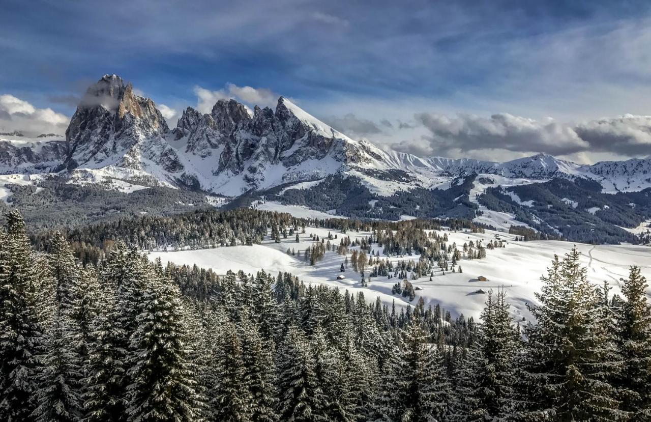 Apartments Vaiolet Santa Cristina Val Gardena Екстер'єр фото