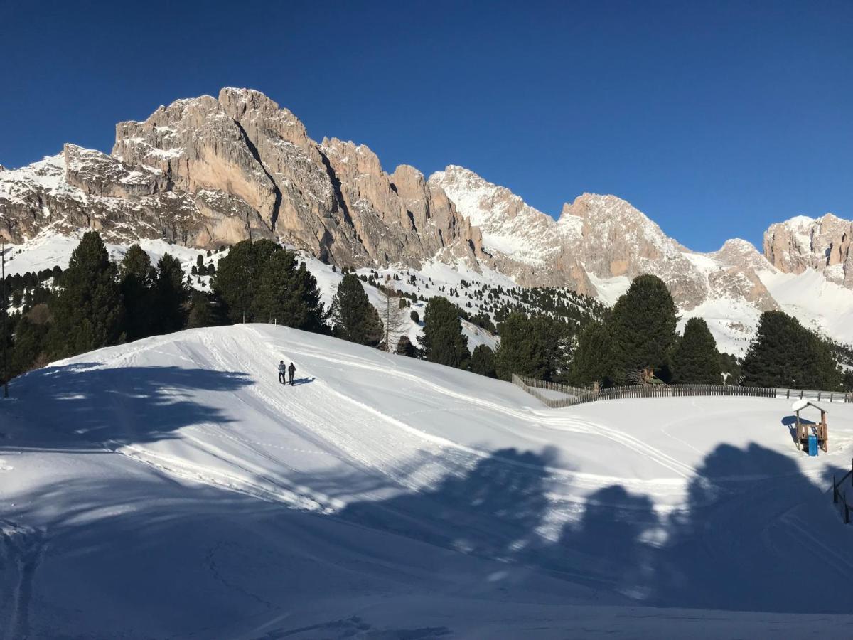 Apartments Vaiolet Santa Cristina Val Gardena Екстер'єр фото