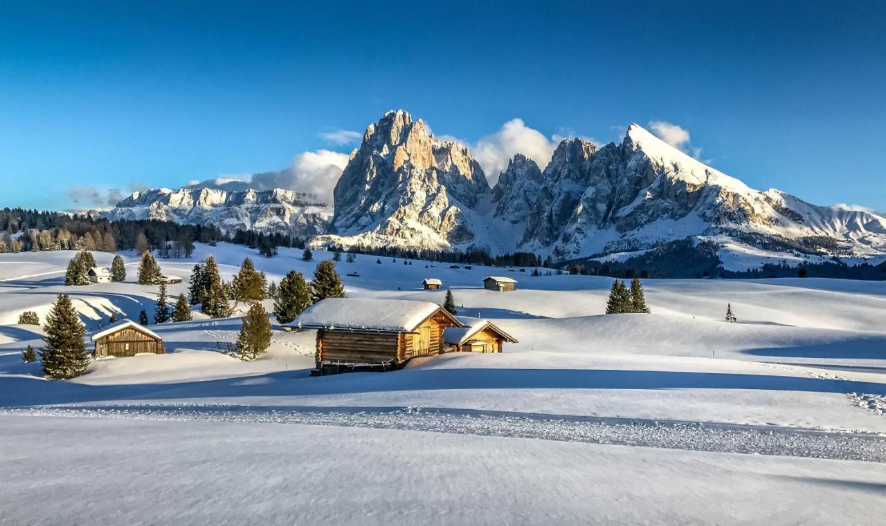 Apartments Vaiolet Santa Cristina Val Gardena Екстер'єр фото